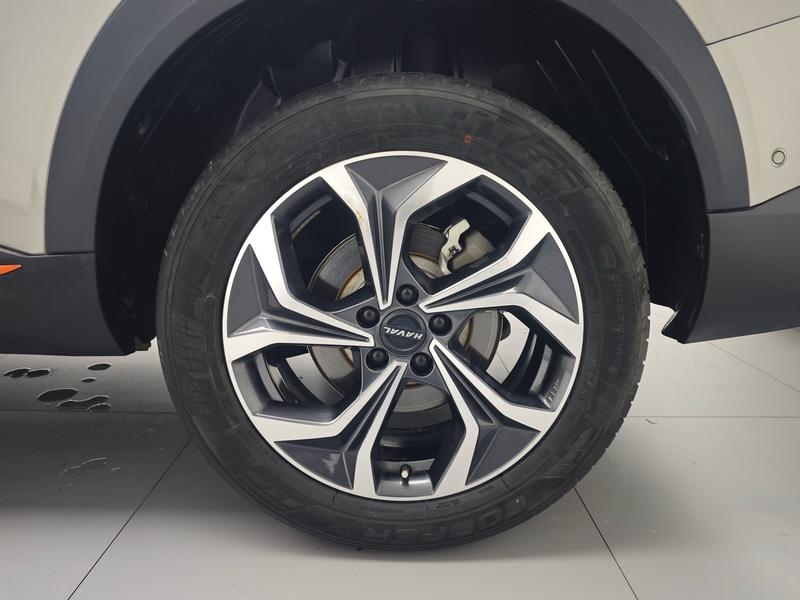 Haval Haval Divine Beast 2021
