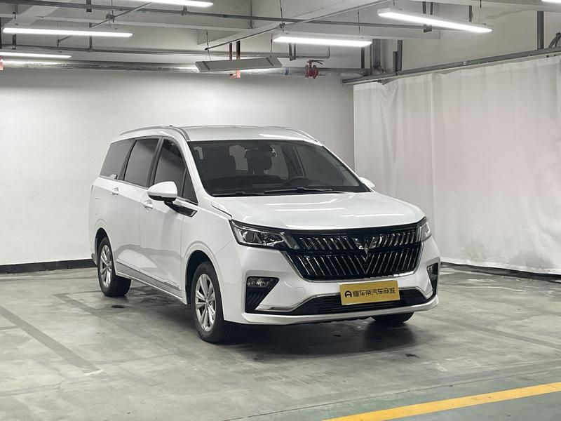 Wuling Wuling Jiachen 2022
