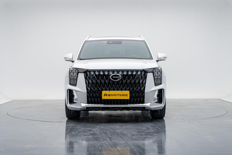 Trumpchi Trumpchi GS8 2022