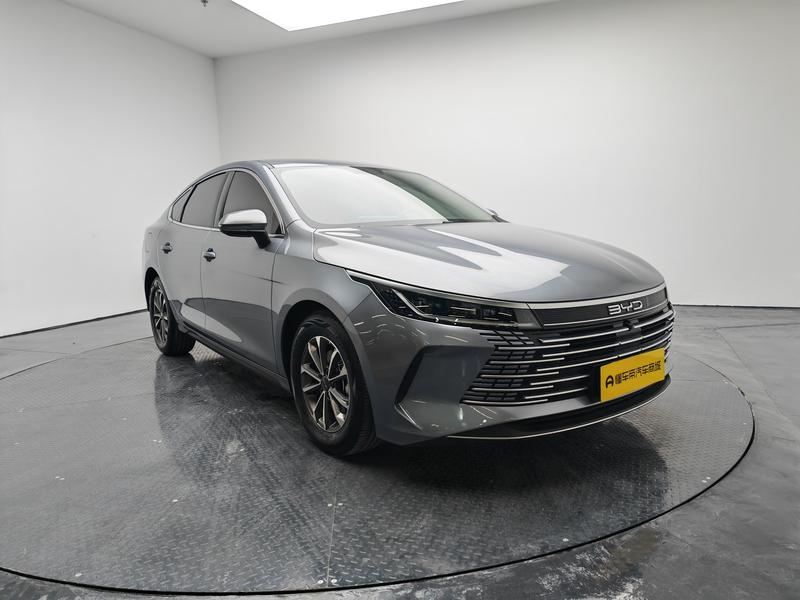 BYD Destroyer 05 2024