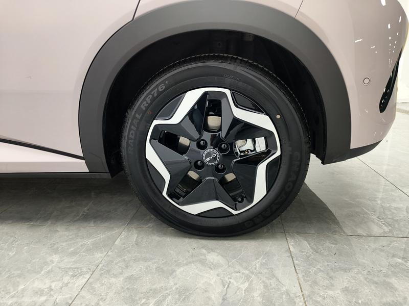BYD dolphin 2025