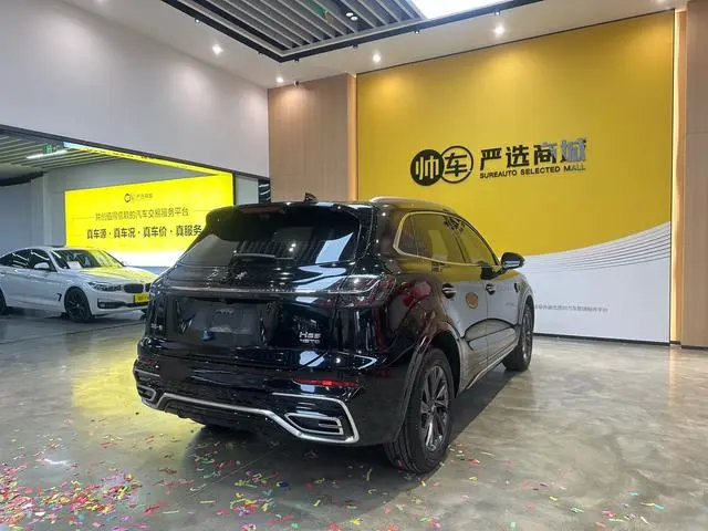 Hongqi Hongqi HS5 2.0T Qixiang Pro 500,000 Commemorative Edition