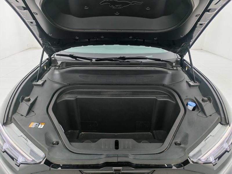 Ford Ford Electric Horse 2021
