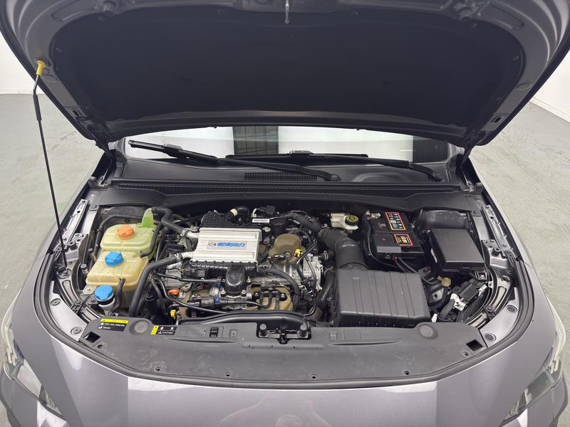 Trumpchi Shadow Leopard 2021