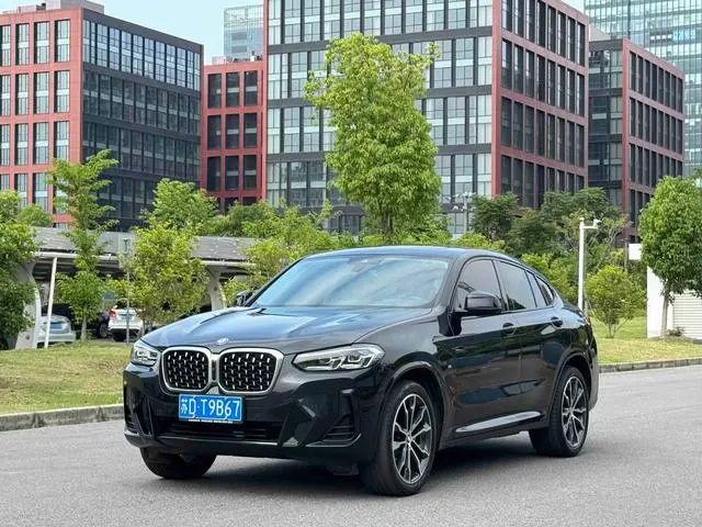 BMW BMW X4 xDrive 30i M sports suit
