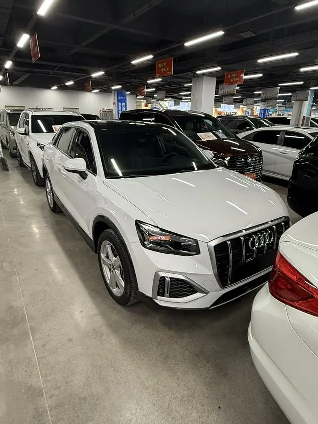Audi Audi Q2L 35 TFSI aggressive and elegant type