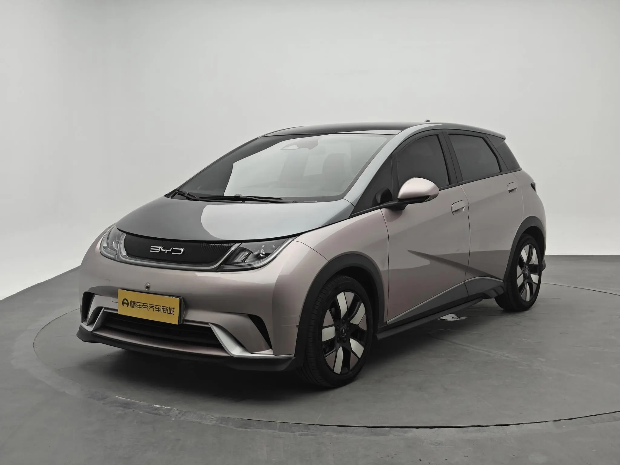 BYD dolphin Knight Edition
