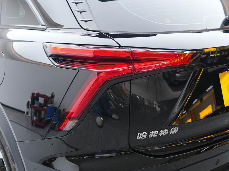 Haval Haval Divine Beast 2021