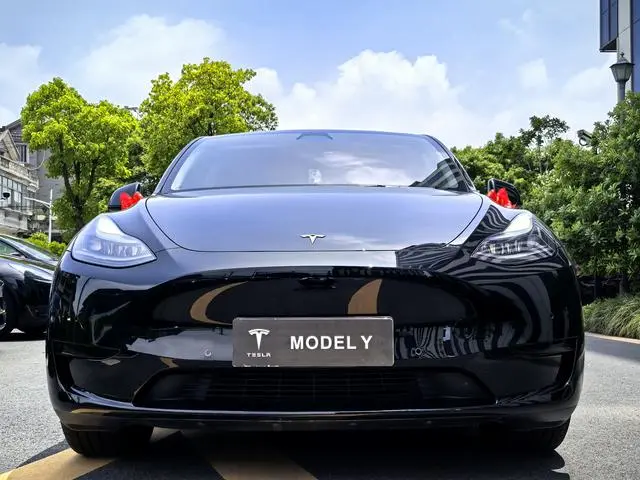 Tesla Model Y Rear-wheel drive version