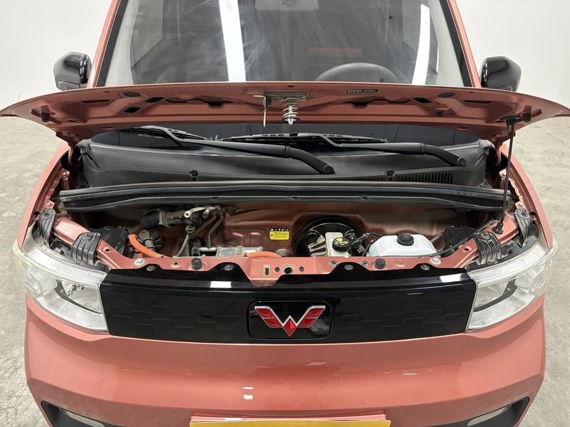 Wuling Wuling Hongguang MINIEV 2020
