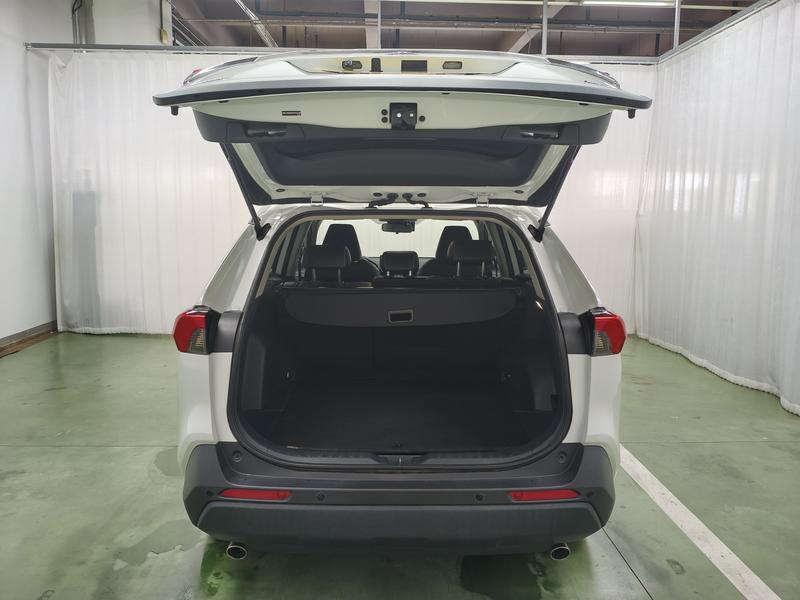 Toyota RAV4 Rong Fang 2023