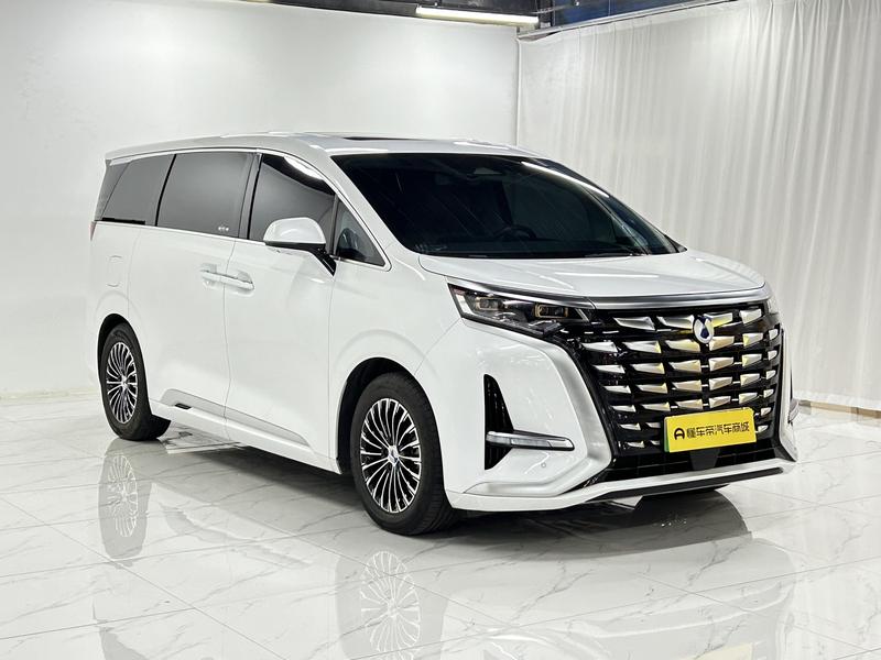 Denza Tengshi D9 DM 2024