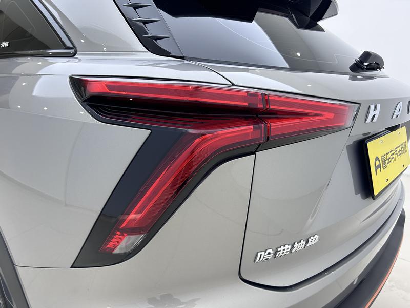 Haval Haval Divine Beast 2021