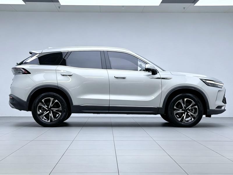 BAIC Beijing X7 2022