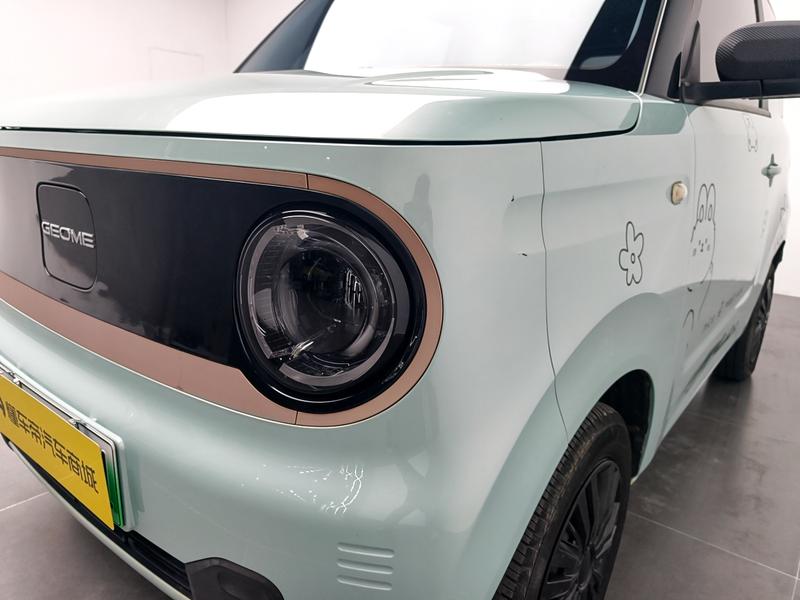Geely Galaxy panda 2024