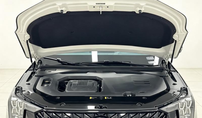 Trumpchi Trumpchi GS8 2022