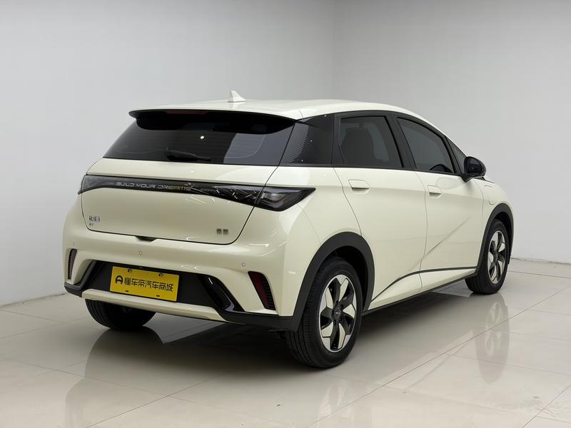 BYD dolphin 2024