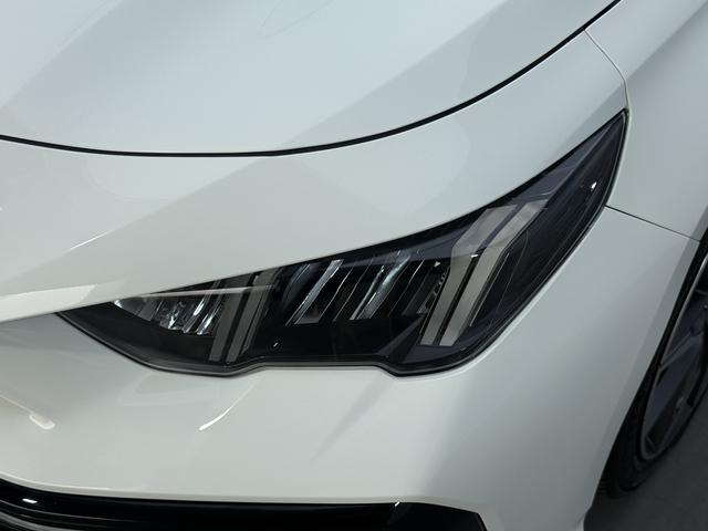 Trumpchi Shadow Leopard 2024