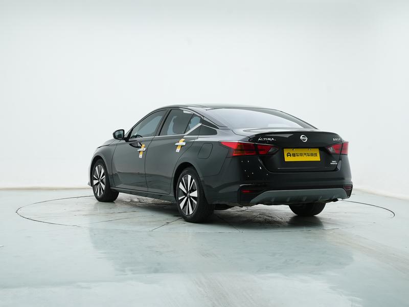Nissan Sounds of Nature 2021