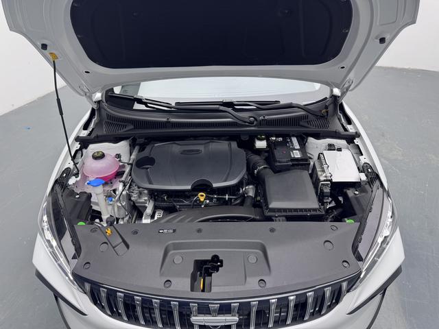 Geely Binrui 2024