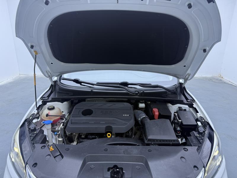 Geely Binrui 2021