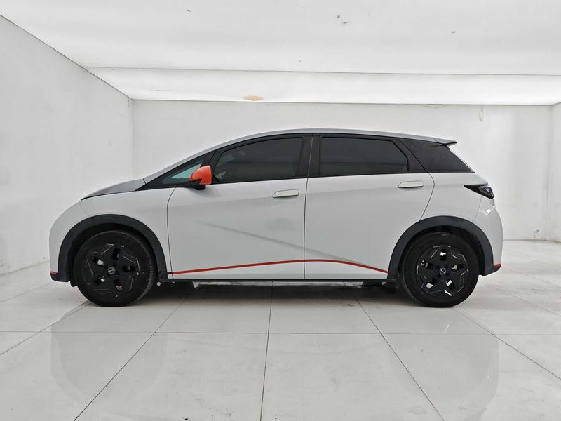BYD dolphin 2021