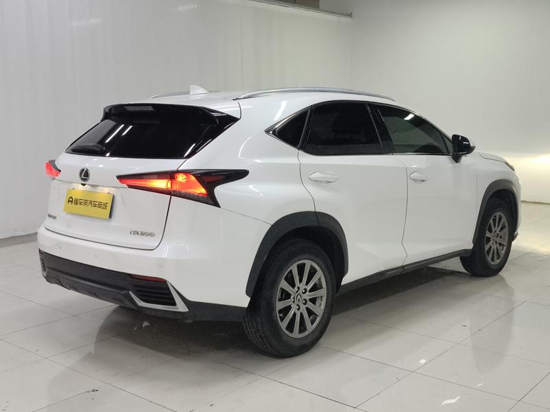 Lexus Lexus NX 2020