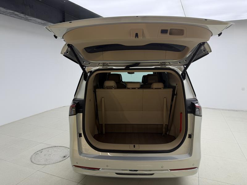 Buick Buick GL8 PHEV 2025