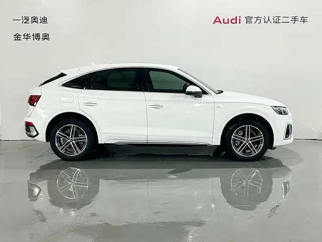 Audi Audi Q5L Sportback 40 TFSI fashion type