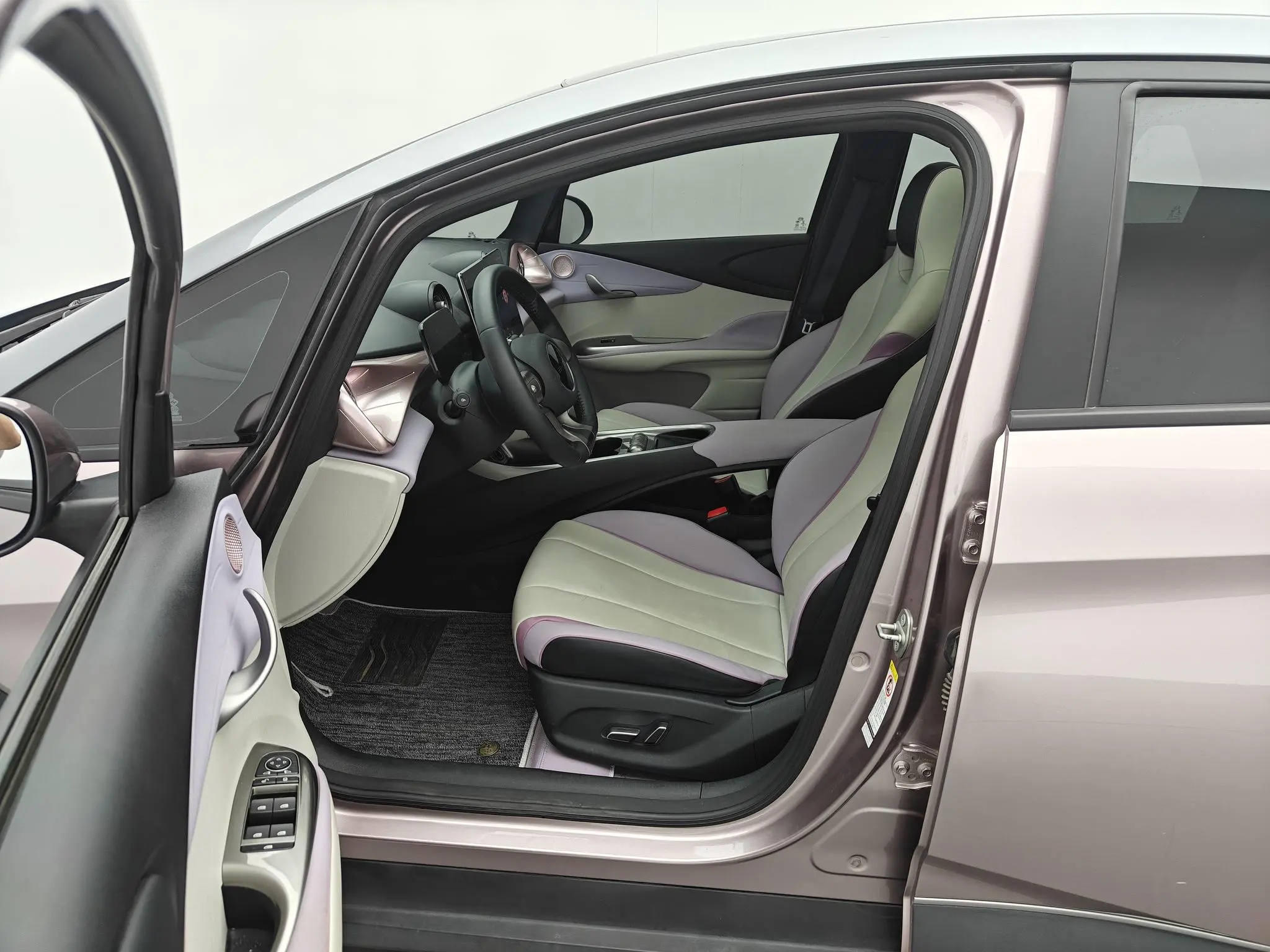 BYD dolphin Knight Edition