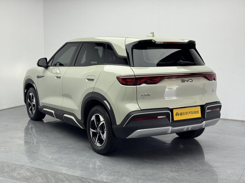 BYD Yuan UP 2024