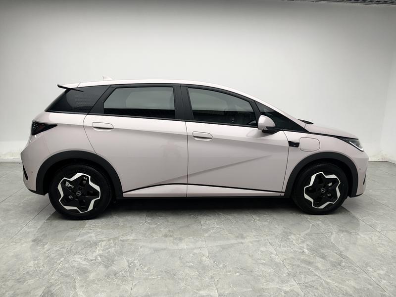 BYD dolphin 2025