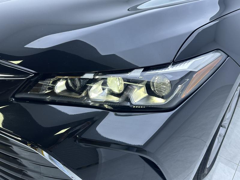 Toyota Asian Dragon 2019