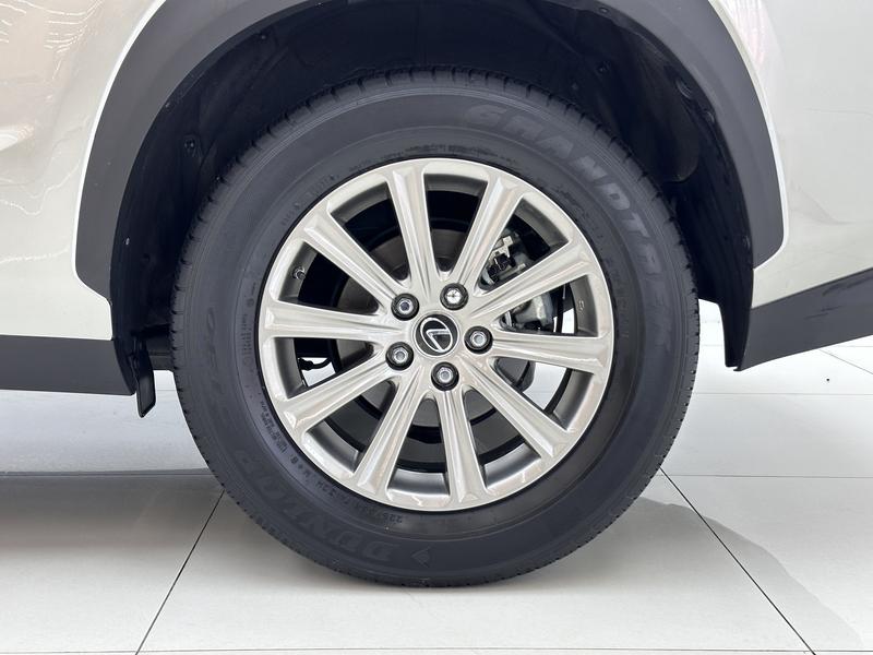 Lexus Lexus NX 2020