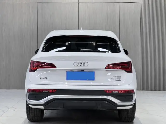 Audi Audi Q5L Sportback 40 TFSI fashion type
