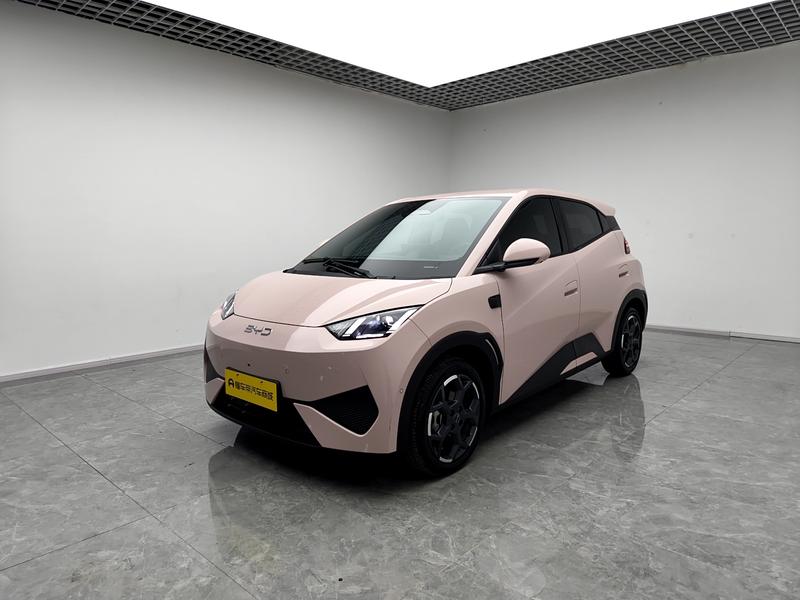 BYD seagull 2025