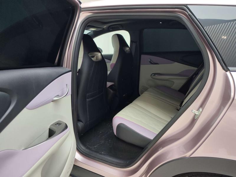 BYD dolphin 2024