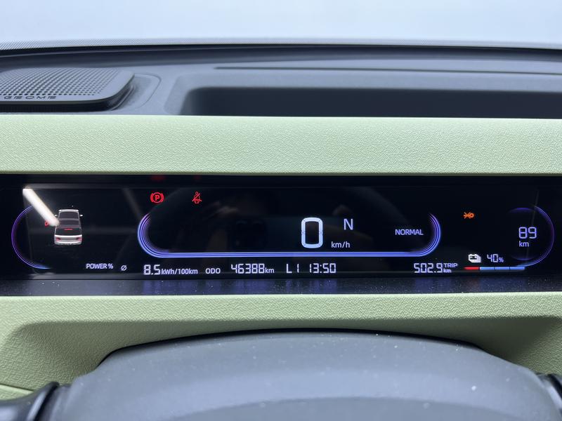 Geely Galaxy panda 2024