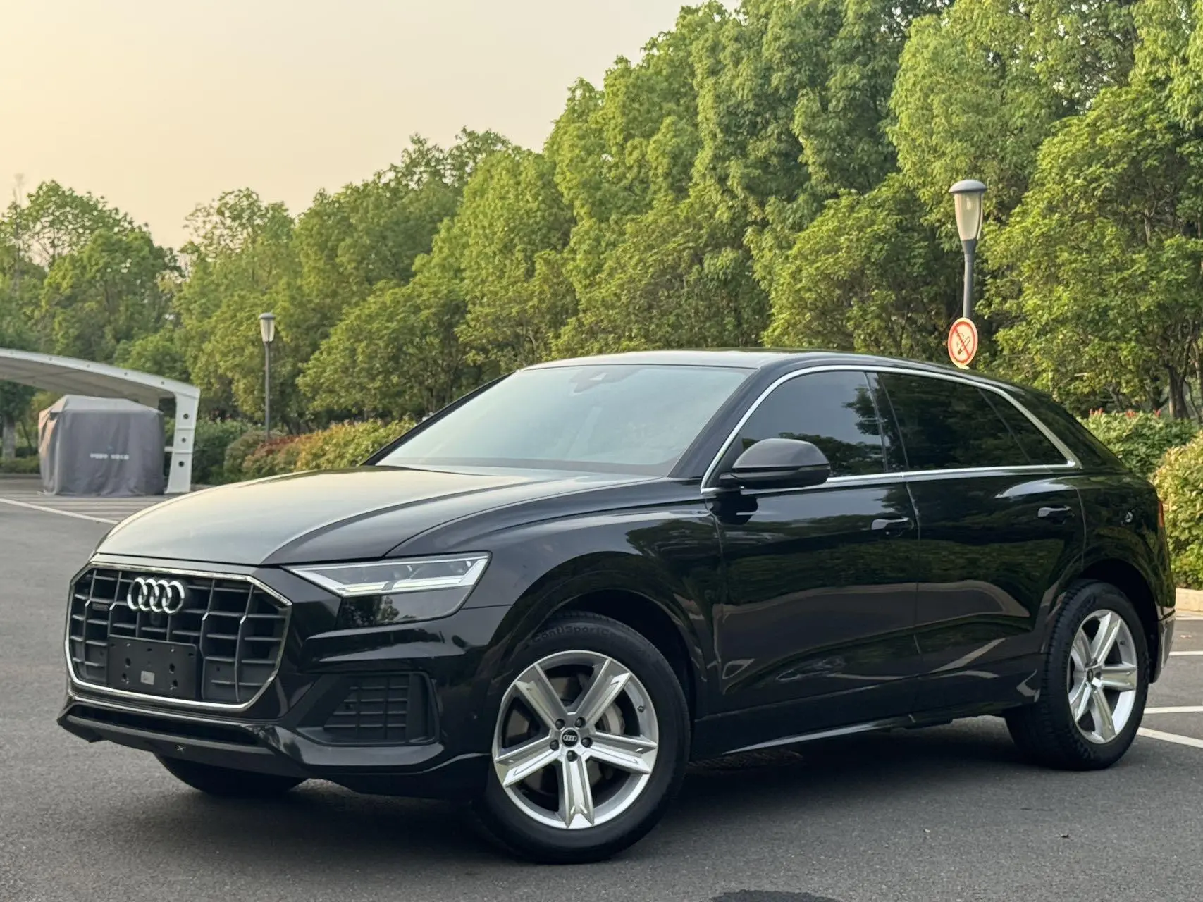 Audi Audi Q8 45 TFSI luxury Elegant Type