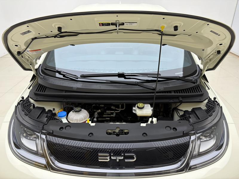 BYD dolphin 2024
