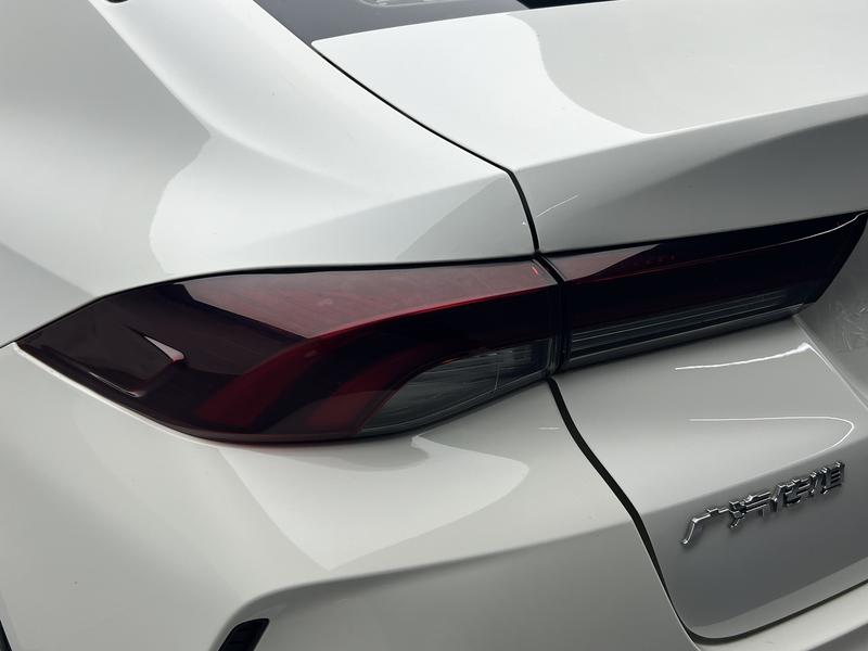 Trumpchi Shadow Leopard 2021