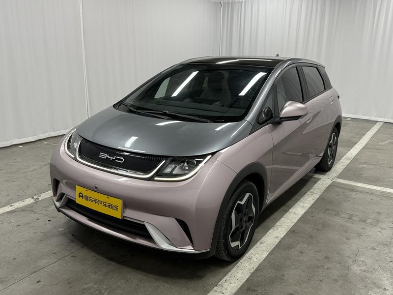 BYD dolphin 2021