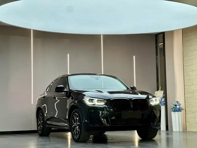 BMW BMW X4 xDrive 25i M sports suit