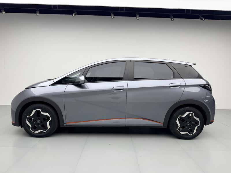BYD dolphin 2021