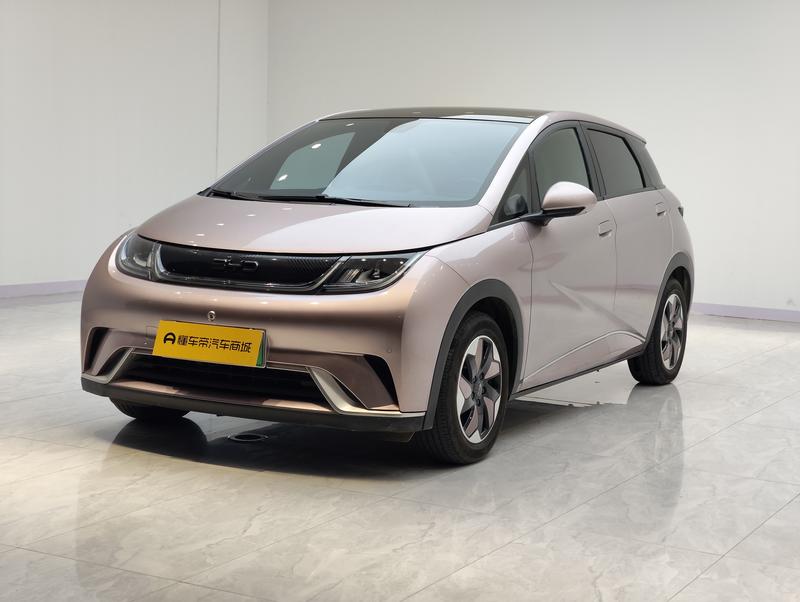 BYD dolphin 2024