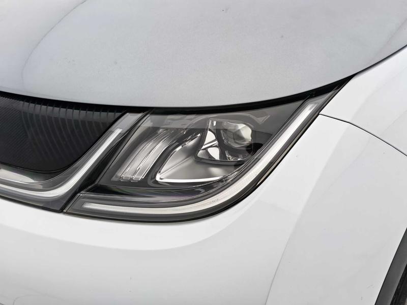 BYD dolphin 2021