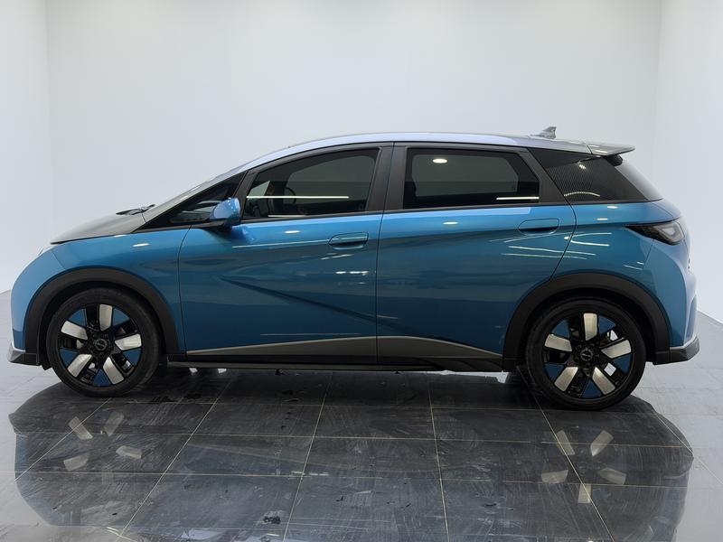 BYD dolphin 2021