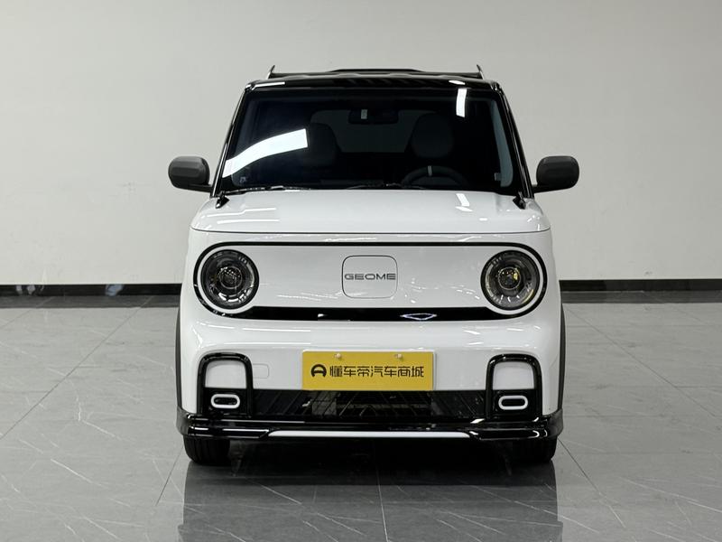 Geely Galaxy panda 2025