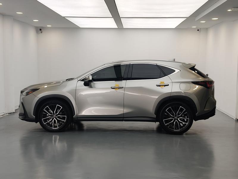 Lexus Lexus NX 2022