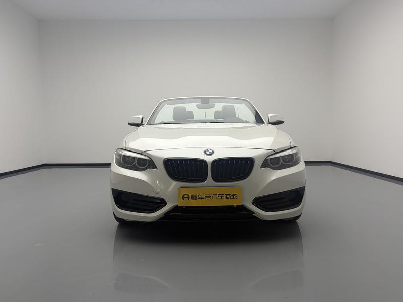 BMW BMW 2 Series (imported) 2019